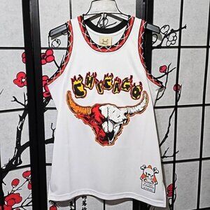 Chicago Bulls Jordan Graphic Jersey Size Small New